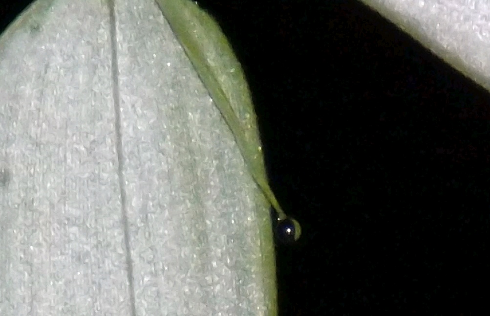 photo-15