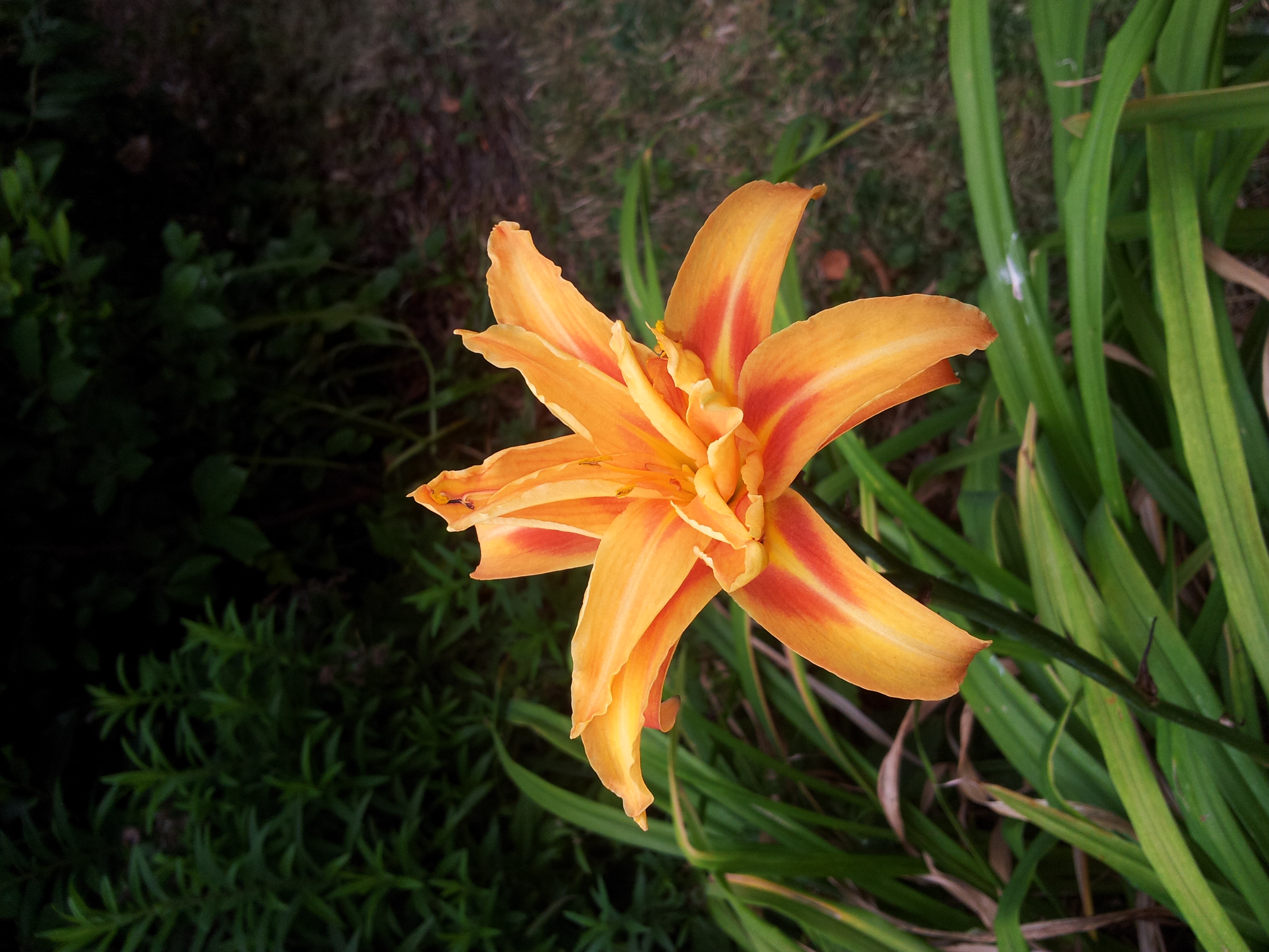 photo-8