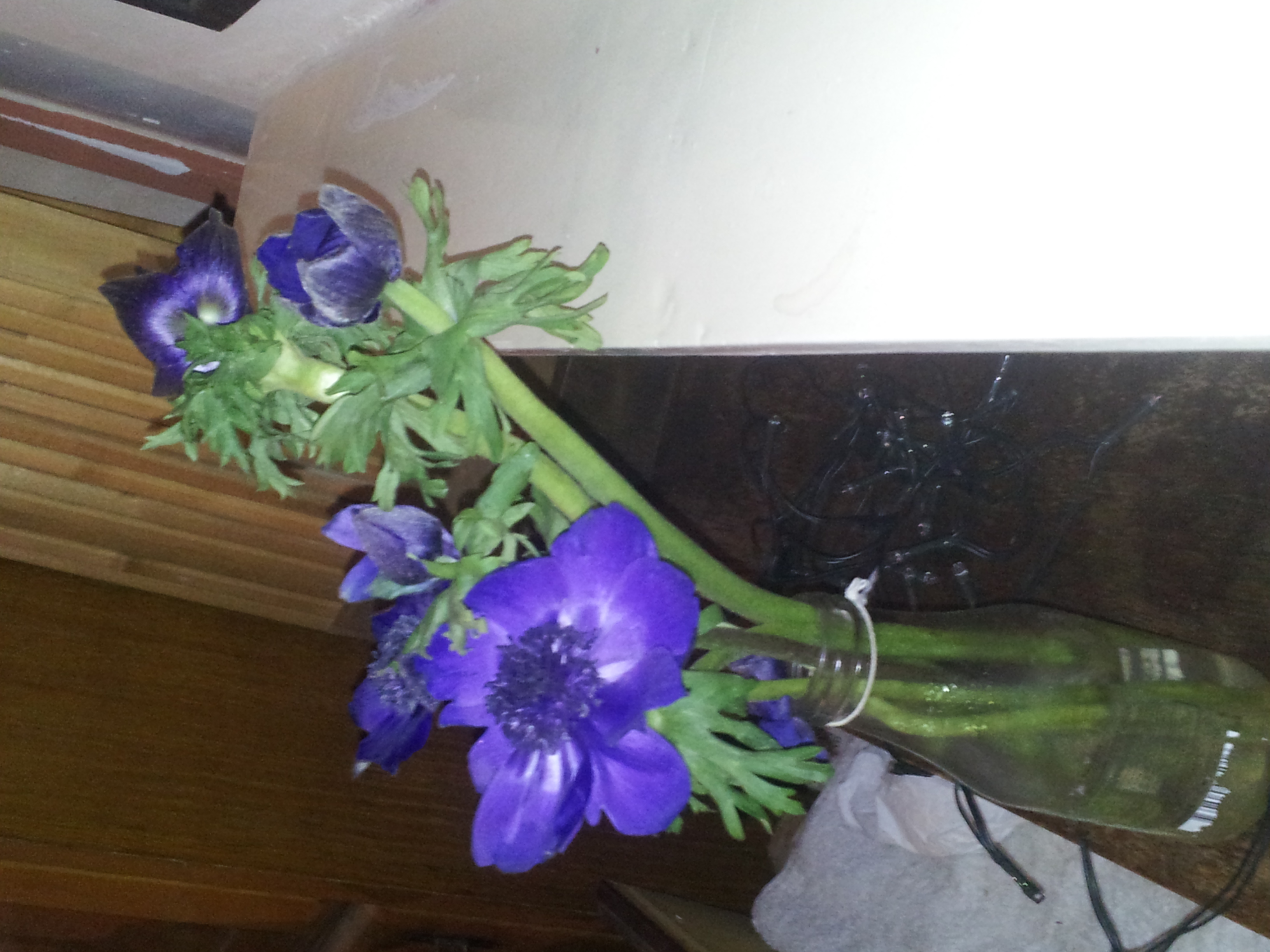 photo-9
